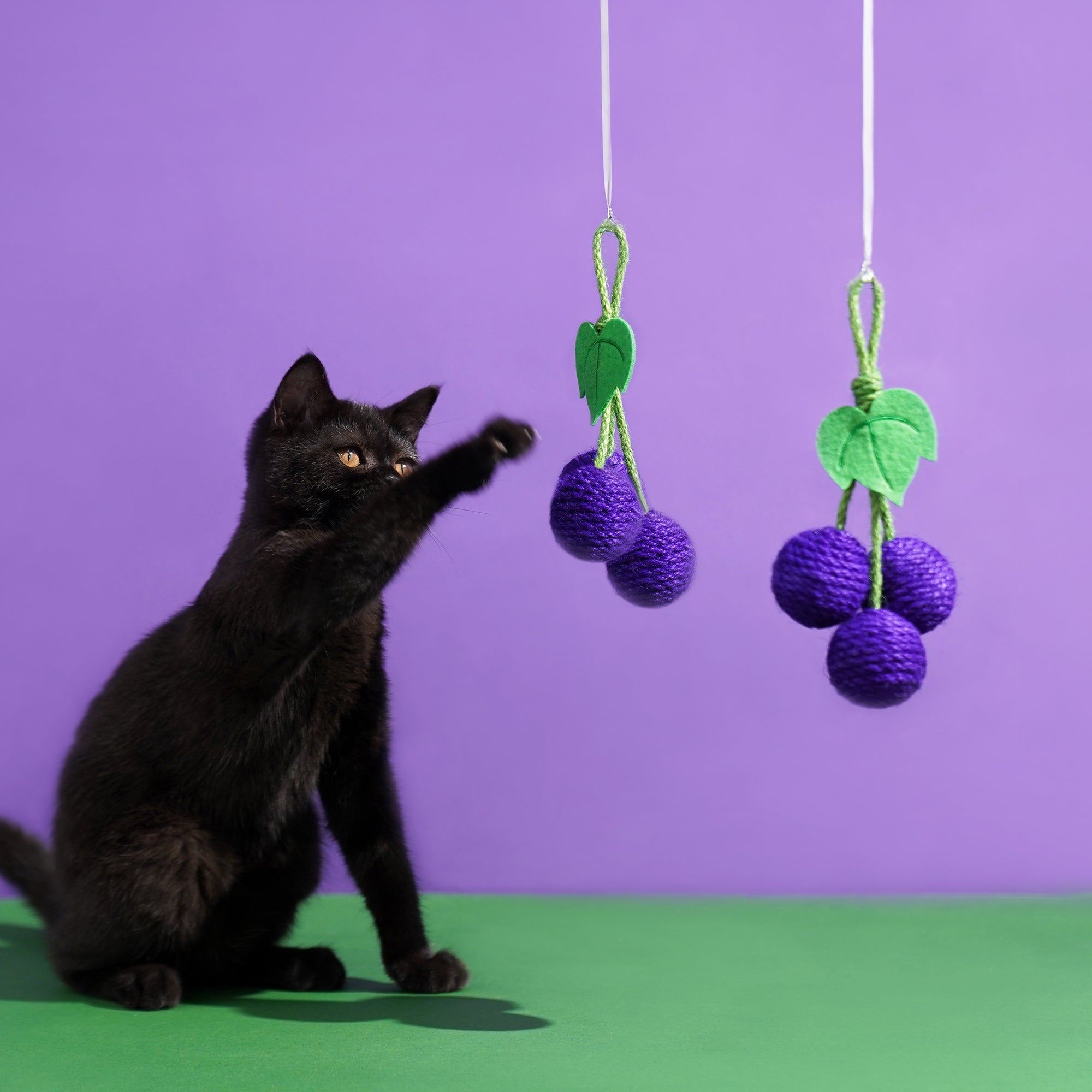 Cat Scratch & Climb