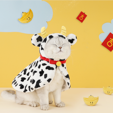 Cow Pet Suit