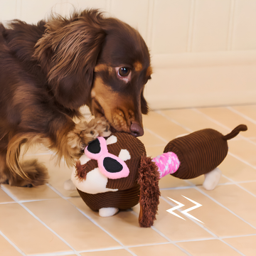 ZEZE Monica Dachshund Rope Squeaky Plush Dog Toy