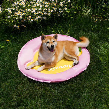 ZEZE Lemon Cooling Dog & Cat Bed