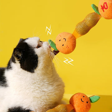 ZEZE “Orange Blessings” Catnip Ball Toy