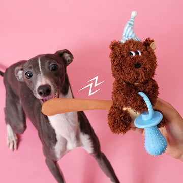 ZEZE Baby Squirrel Chew Toy
