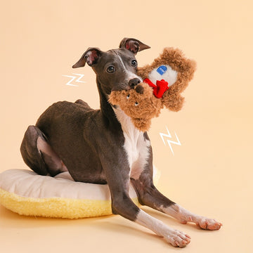 ZEZE Nick the Bear Crinkle Pet Toy