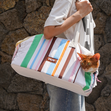 ZEZE Cream White Stripe Dog & Cat Carrier, 18.8-in