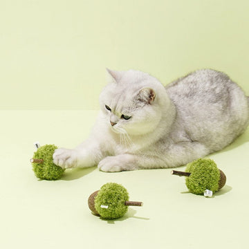 White cat pawing the ZEZE Green Acorn catnip cat toys