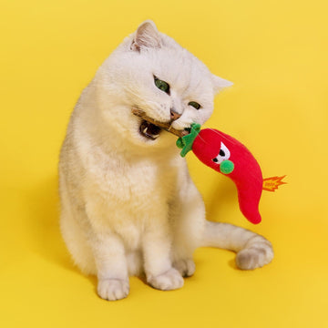 White cat biting the ZEZE Hot Chili silvervine cat toy
