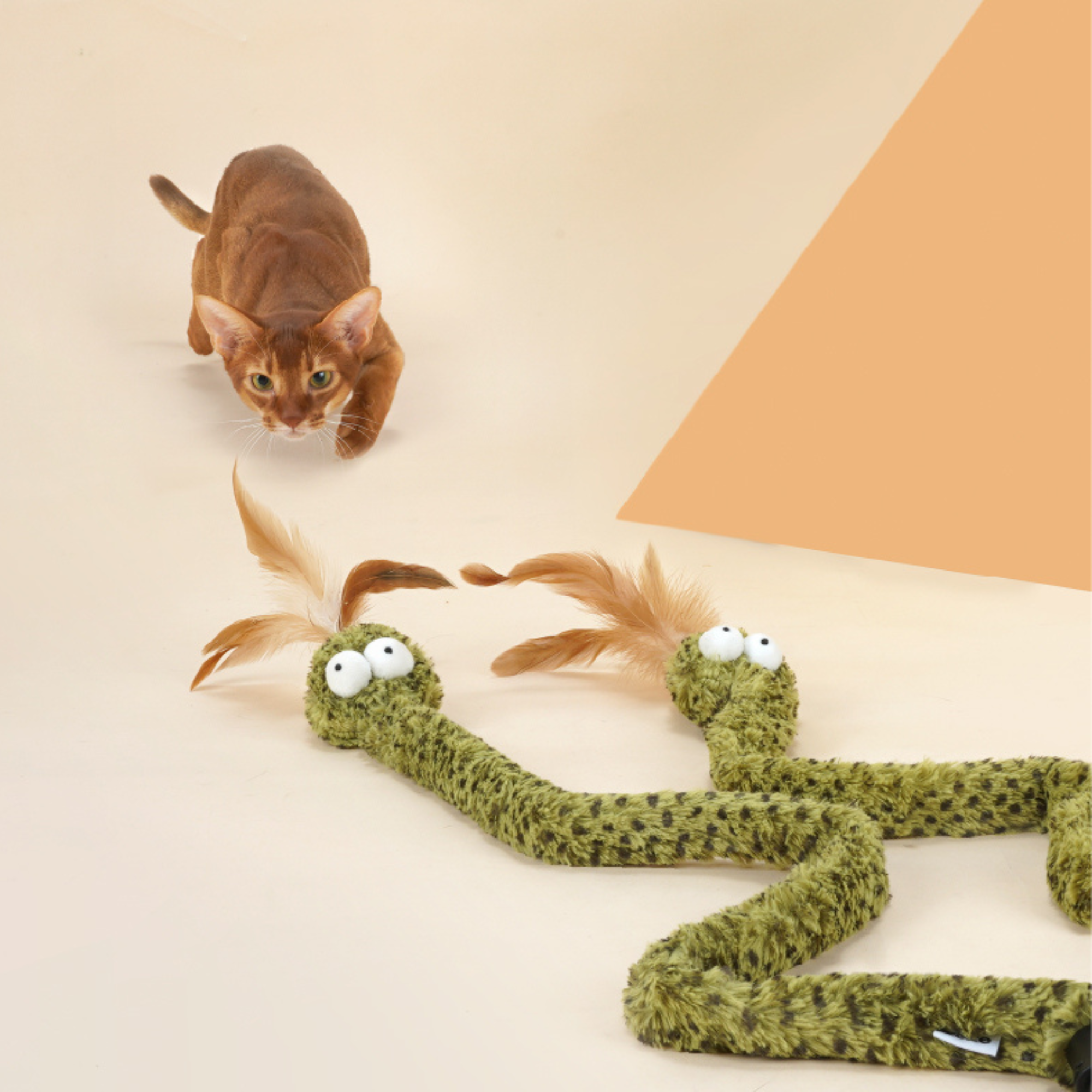 How to Use a Wand Toy to Satisfy Your Cat's Hunting Instinct