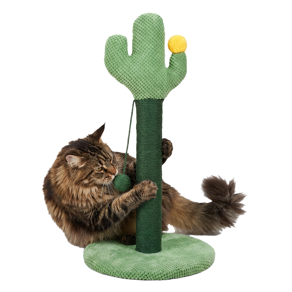 Cat Scratcher