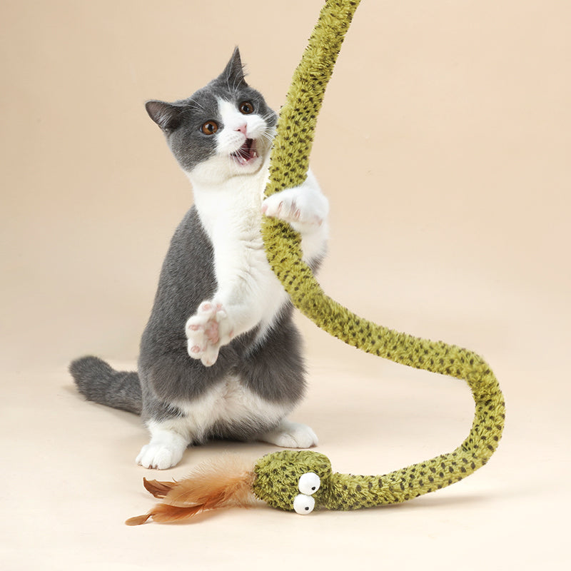 For Cats