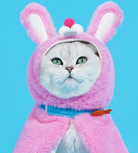 Cute Rabbit Cape
