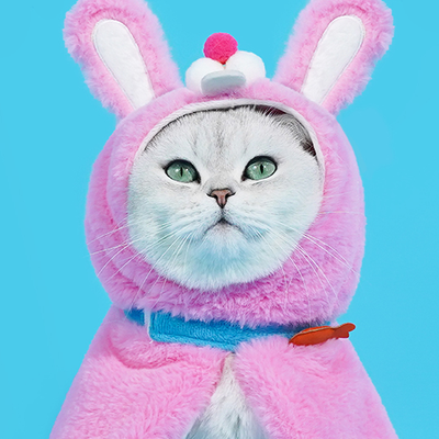 Cute Rabbit Cape