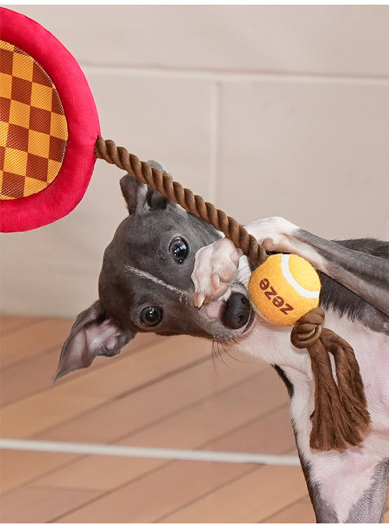 Tennis Racket Rope Dog Toy