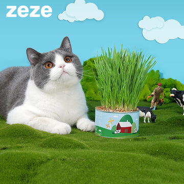 ZEZE Cat Grass Can