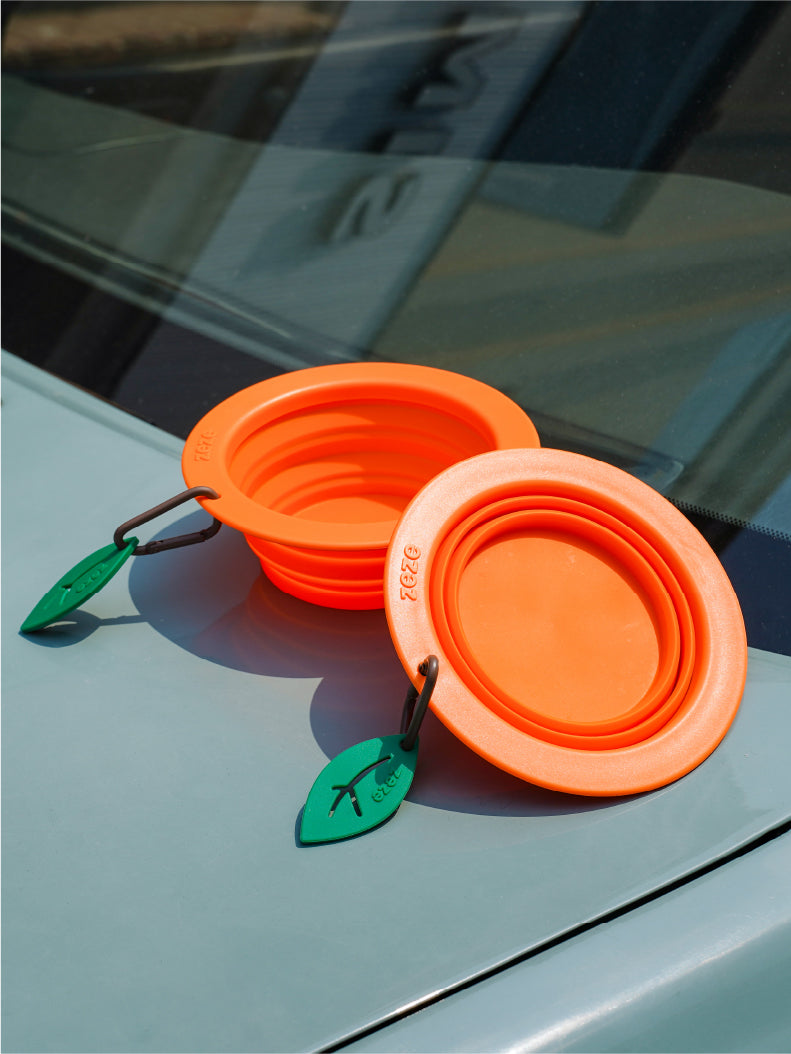 Collapsible Silicone Dog Bowl