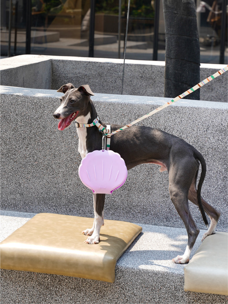 Collapsible Silicone Dog Bowl