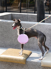 Collapsible Silicone Dog Bowl