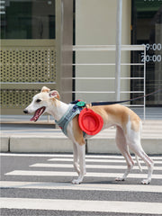 Collapsible Silicone Dog Bowl