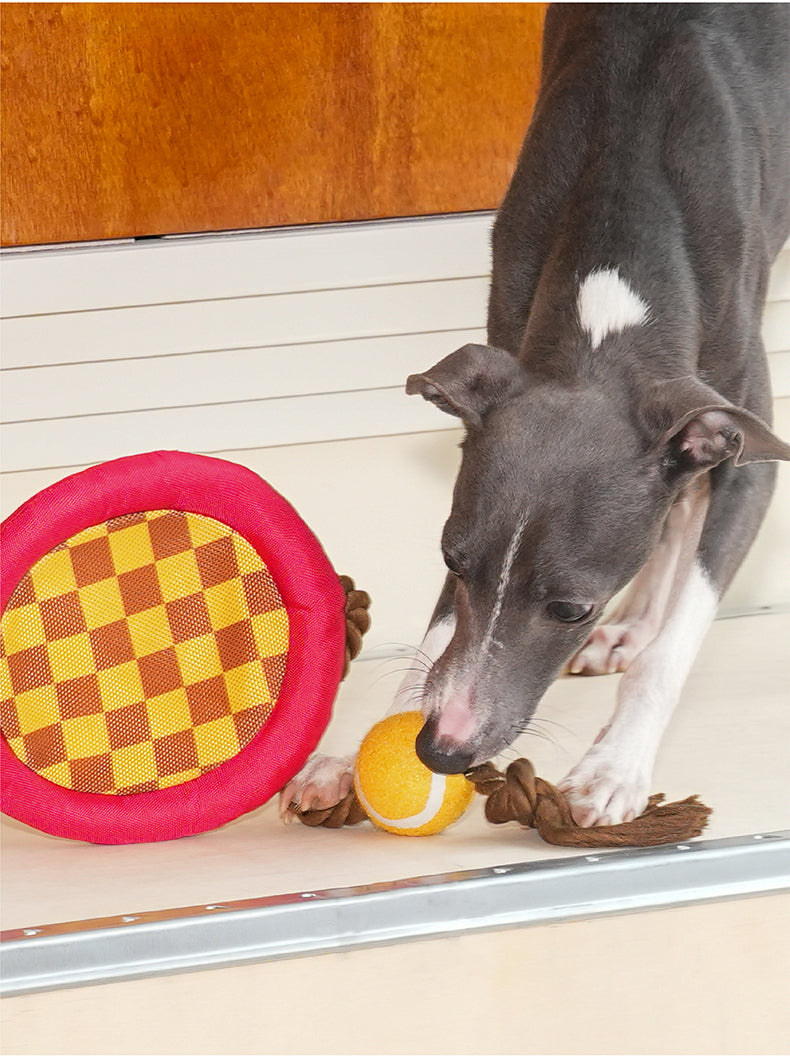 Tennis Racket Rope Dog Toy