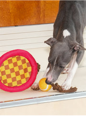 Tennis Racket Rope Dog Toy