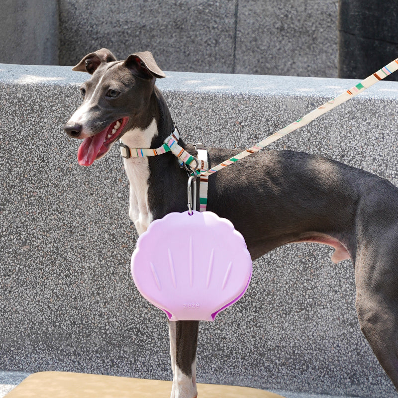 Collapsible Silicone Dog Bowl