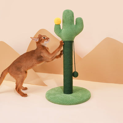 Desert Cactus Woven Rope Cat Scratcher