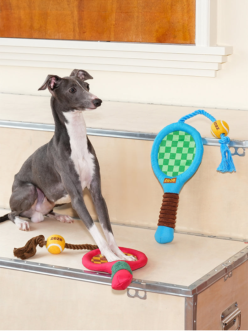 ZEZE Tennis Racket Rope Dog Toy - Blue and Green