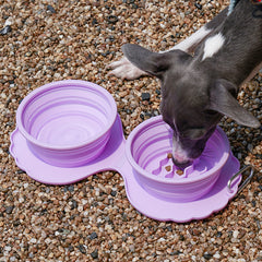Collapsible Silicone Dog Bowl