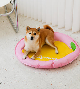 Lemon Cooling Dog Bed