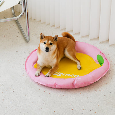 Lemon Cooling Dog Bed