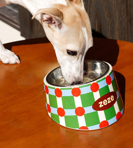 2-in-1 Design Pet Metal Bowl