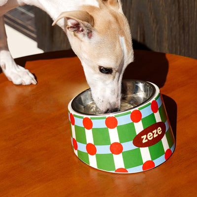 2-in-1 Design Pet Metal Bowl