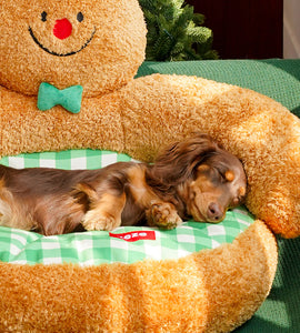 Gingerbread Man Hug Pet Sofa Bed