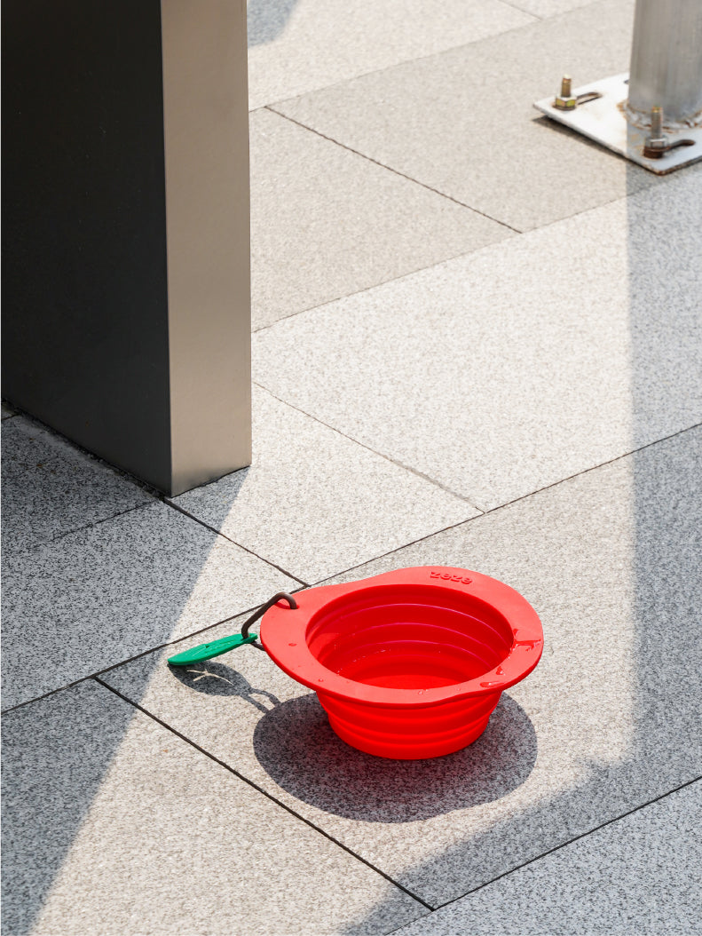 Collapsible Silicone Dog Bowl