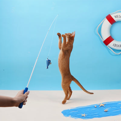 Telescopic Fishing Rod Fishing Cat Toy