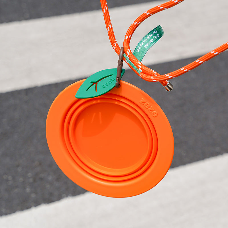 Collapsible Silicone Dog Bowl