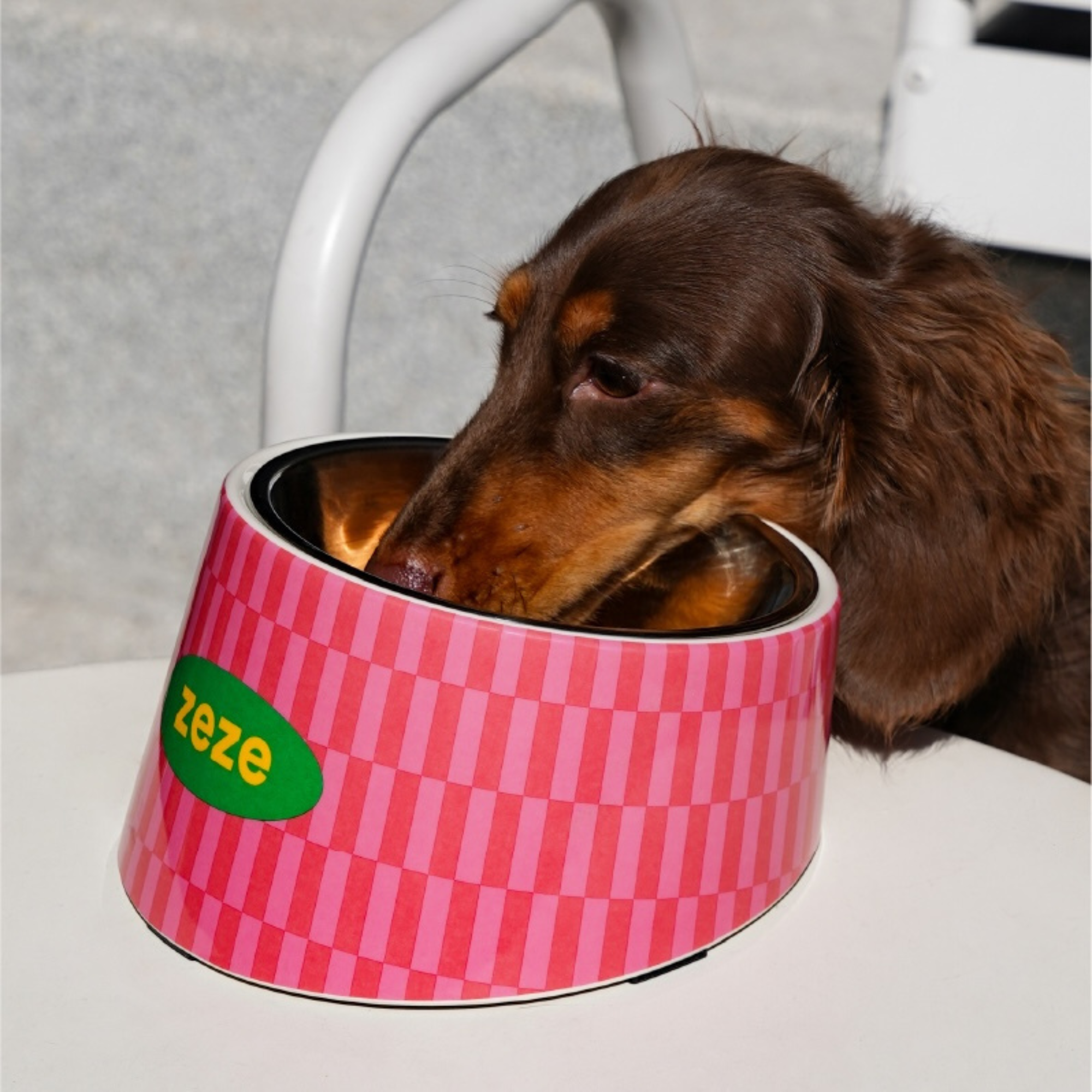 ZEZE 2-in-1 Design Pet Metal Bowl - view 2