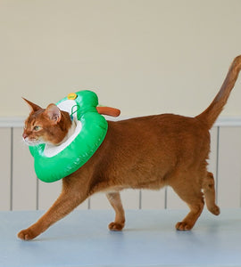 Apple Anti-Lick Pet Collar