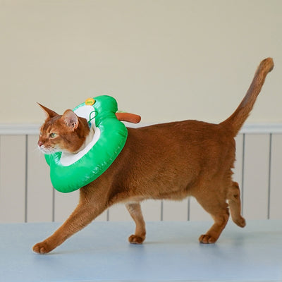 Apple Anti-Lick Pet Collar