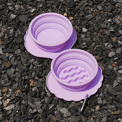 Collapsible Silicone Dog Bowl
