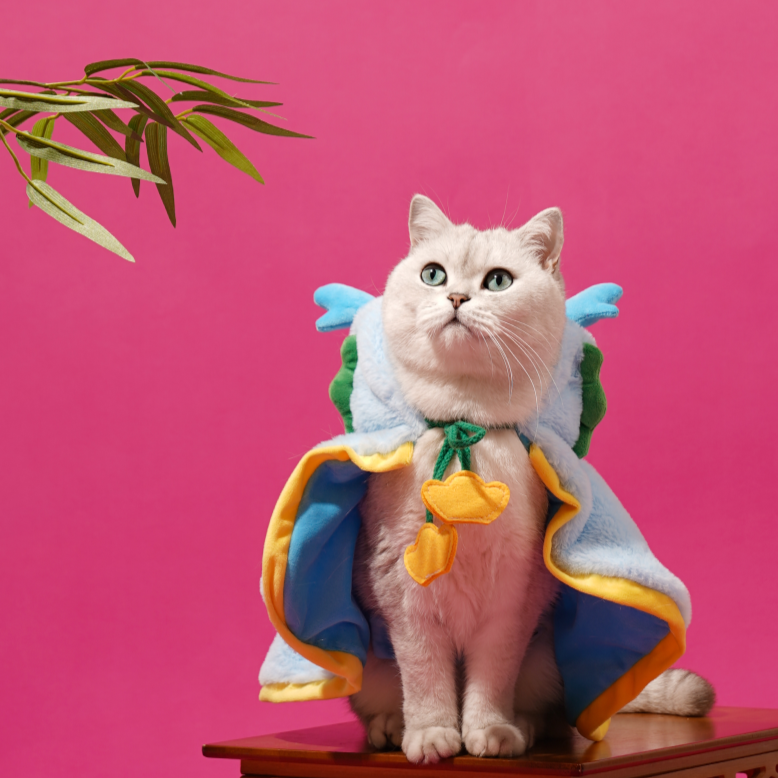 Dragon Cape