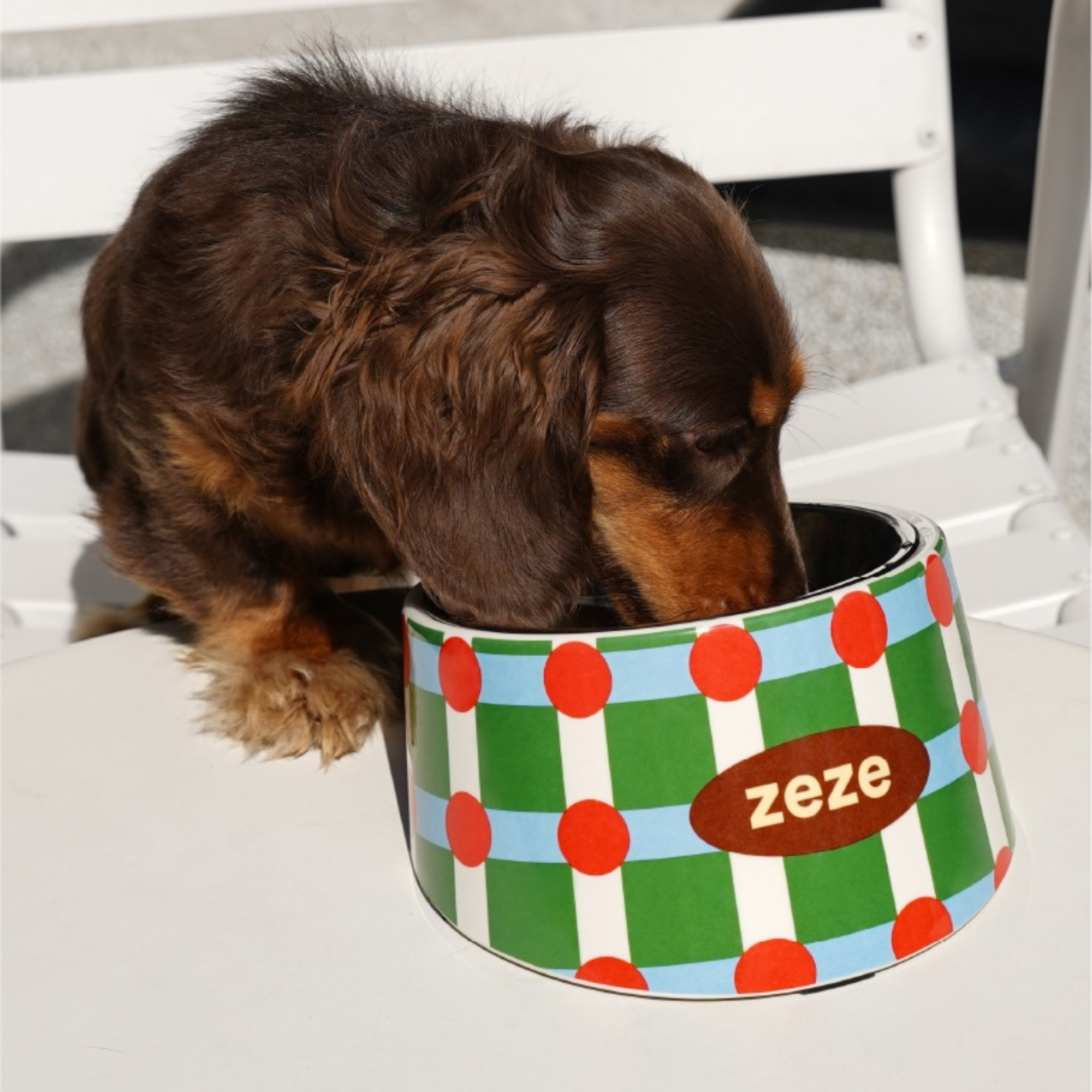 ZEZE 2-in-1 Design Pet Metal Bowl - view 3