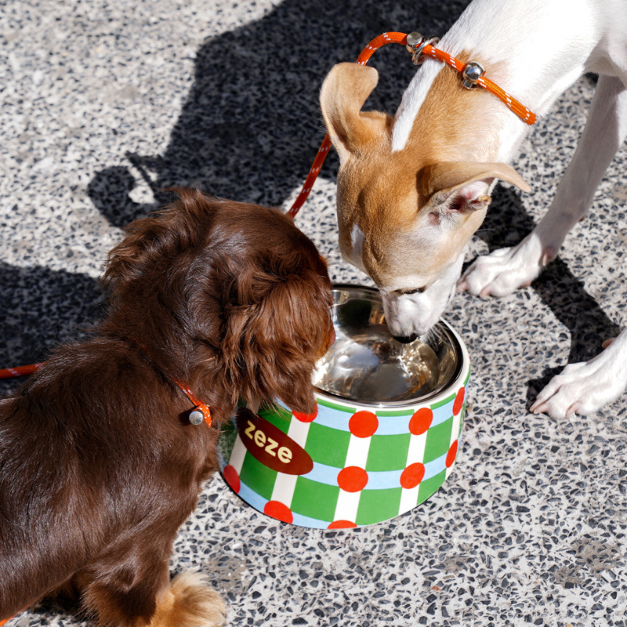 ZEZE 2-in-1 Design Pet Metal Bowl - view 4