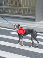 Collapsible Silicone Dog Bowl