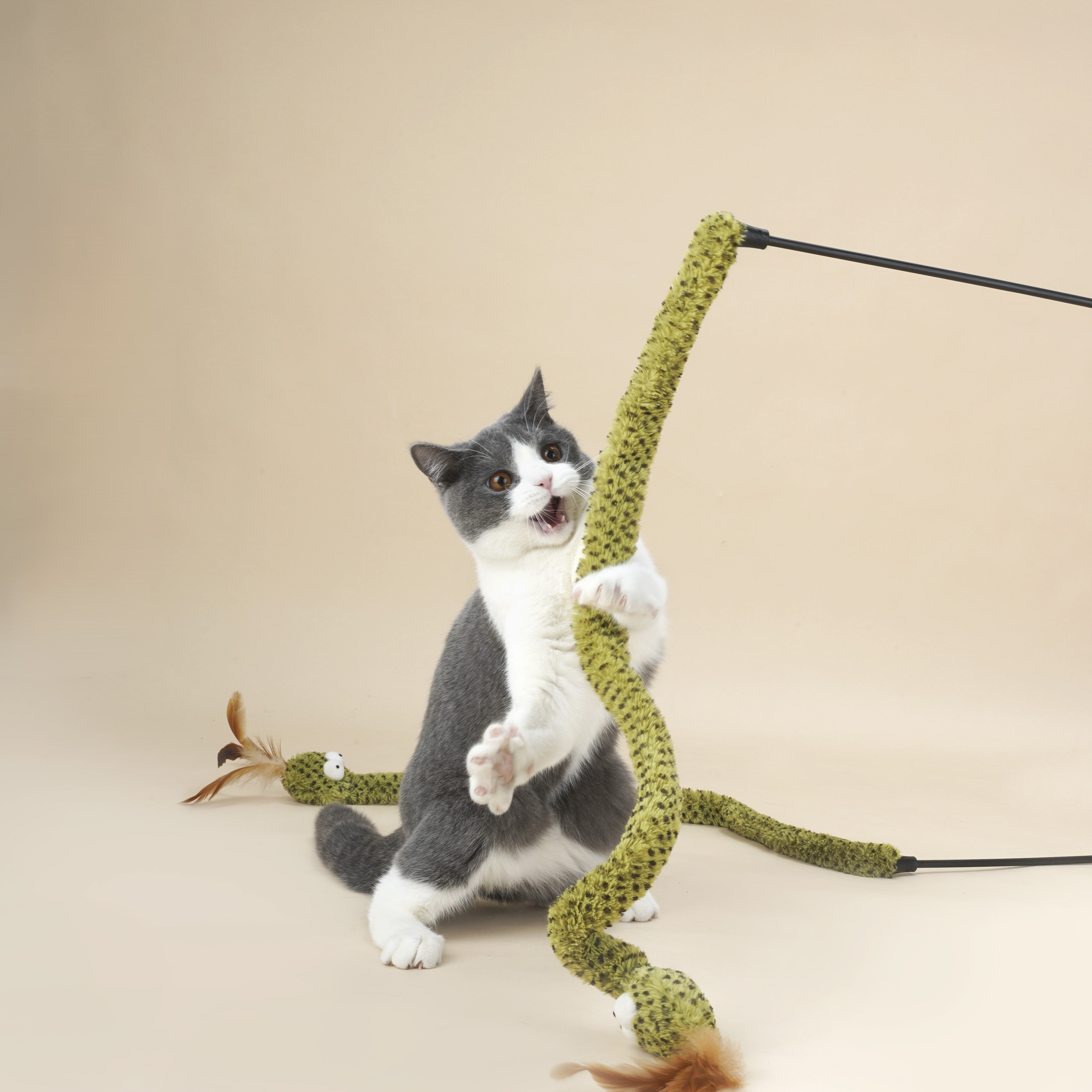 Rattlesnake Crinkle Teaser Toy