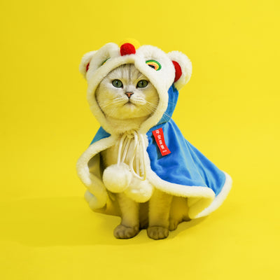 Lion Dance Pet Clothes