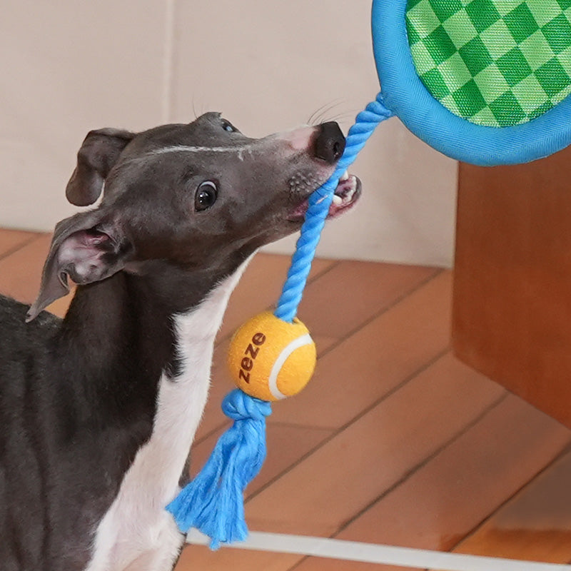 Tennis Racket Rope Dog Toy