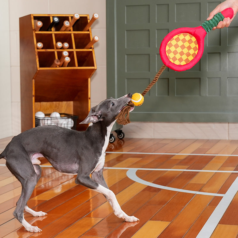 Tennis Racket Rope Dog Toy