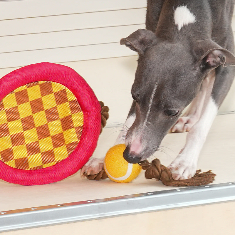 Tennis Racket Rope Dog Toy