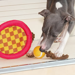 Tennis Racket Rope Dog Toy