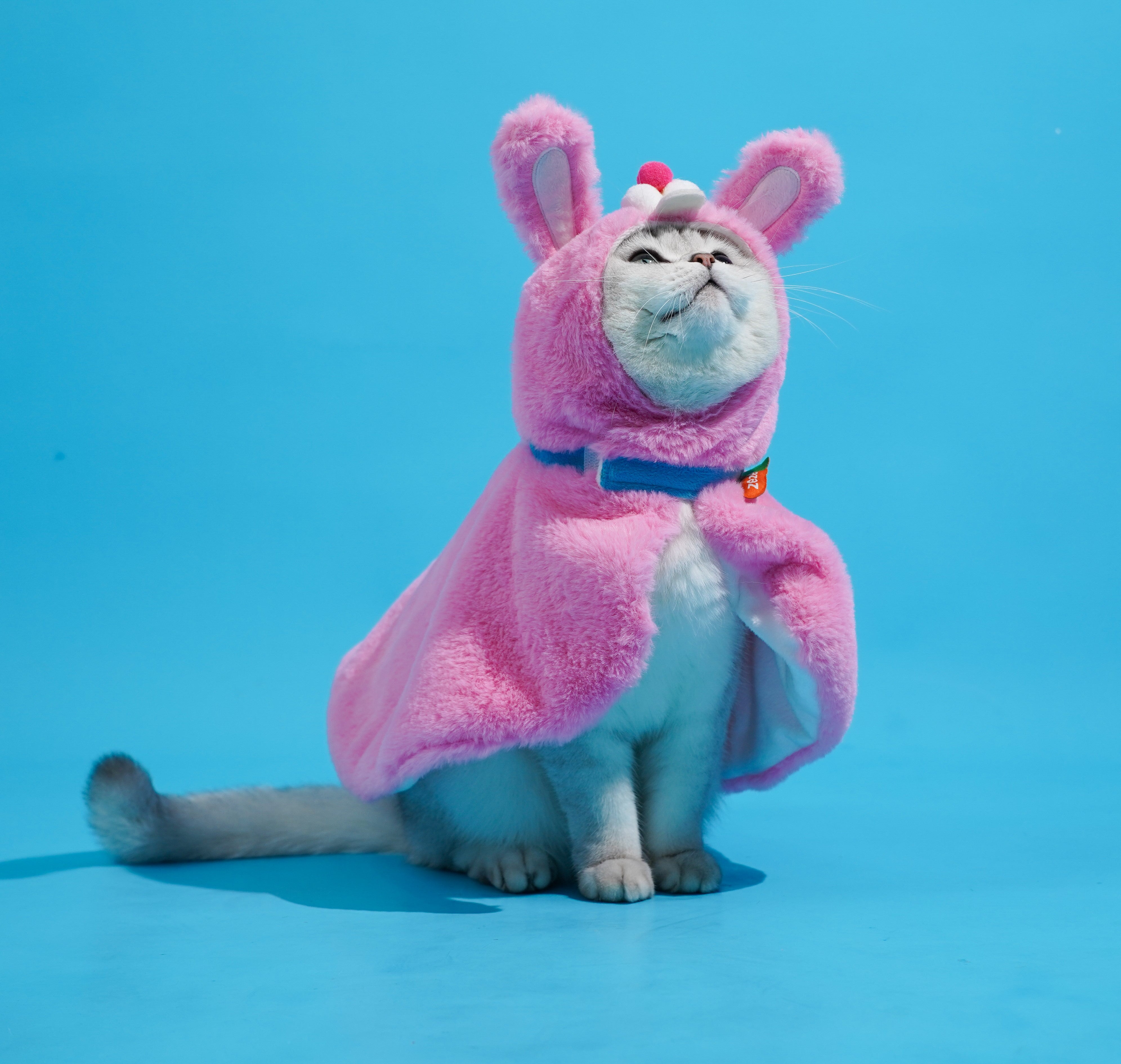 Cute Rabbit Cape